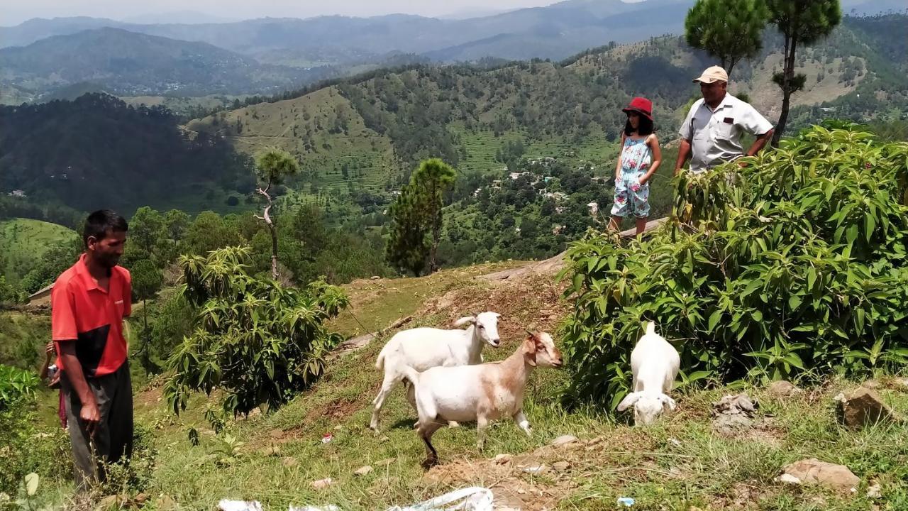 Village Farmstay- Babaji's Cave Dwarahat