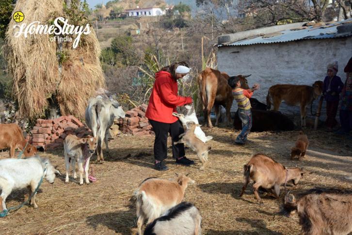 Village Farmstay- Babaji's Cave