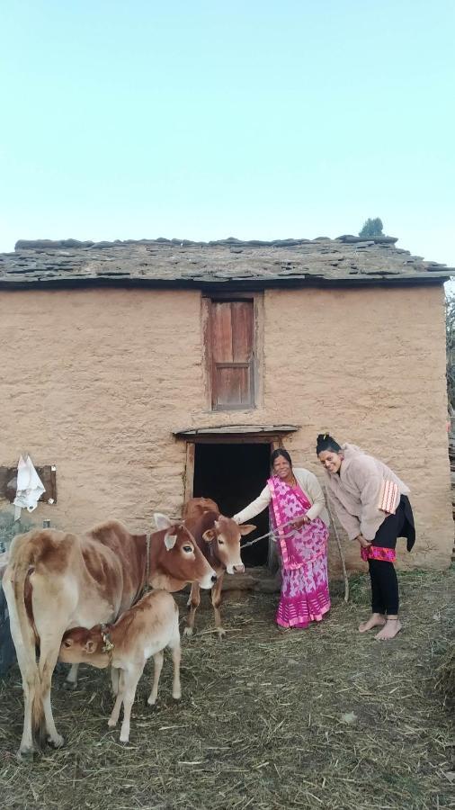 Village Farmstay- Babaji's Cave Homestay