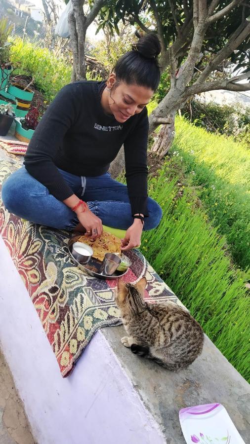 Village Farmstay- Babaji's Cave Homestay Dwarahat